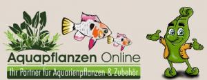 http://aquapflanzen-online.de
