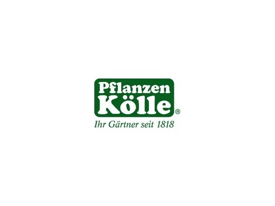 http://pflanzen-koelle.de