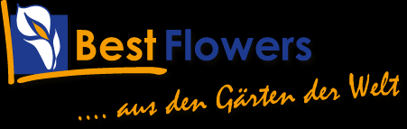 http://bestflowers.de