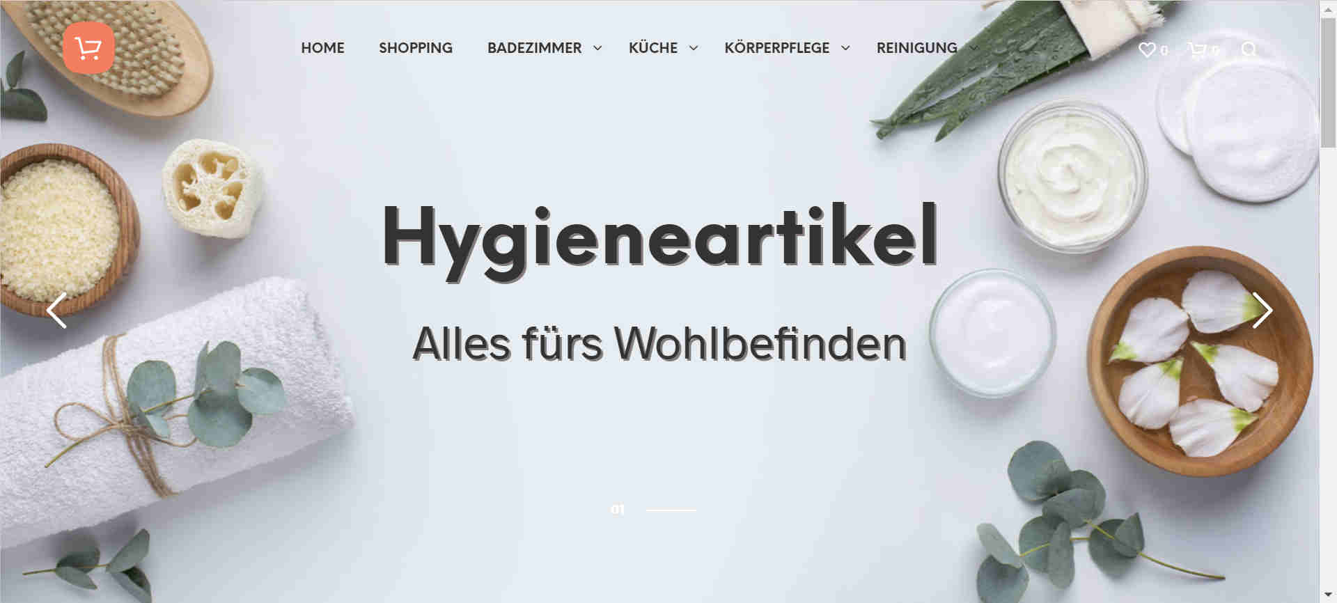 http://hygieneartikel.net